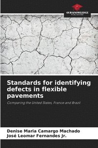Standards for identifying defects in flexible pavements