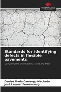 Standards for identifying defects in flexible pavements