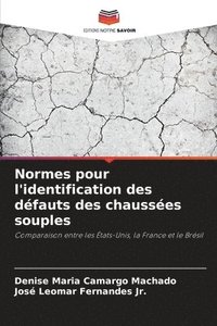 Normes pour l'identification des dfauts des chausses souples