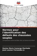 Normes pour l'identification des dfauts des chausses souples