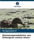 Biomasseproduktion von Entengras Lemna minor