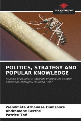 Politics, Strategy and Popular Knowledge