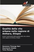 Qualità della vita urbana nella regione di Amhara, Etiopia