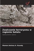 Zwalczanie terroryzmu w regionie Sahelu