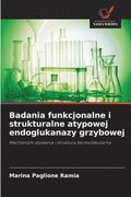 Badania funkcjonalne i strukturalne atypowej endoglukanazy grzybowej