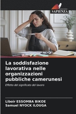 Liboir Essomba Bikoe, Samuel Nyock Ilouga - soddisfazione lavorativa nelle organizzazioni pubbliche camerunesi, Häftad. Tillgänglighet: Lägg i varukorg