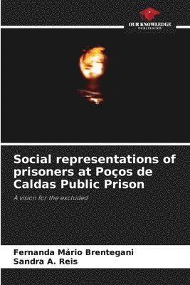 Fernanda Mario Brentegani, Sandra A Reis - Social representations of prisoners at Poços de Caldas Public Prison, Häftad
