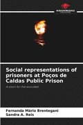 Social representations of prisoners at Po�os de Caldas Public Prison
