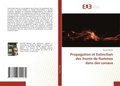 Propagation et Extinction des fronts de flammes dans des canaux