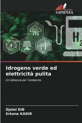 Djalel Dib, Erkane Kadir - Idrogeno verde ed elettricità pulita, Häftad. Tillgänglighet: Lägg i varukorg