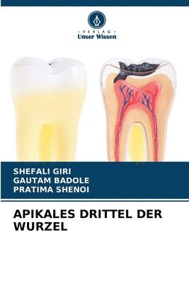 Shefali Giri, Gautam Badole, Pratima Shenoi - Apikales Drittel Der Wurzel, Häftad. Tillgänglighet: Lägg i varukorg