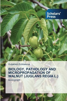 Guljakhon Eshbekova - Biology, Pathology and Micropropagation of Walnut (Juglans Regia L.), Häftad