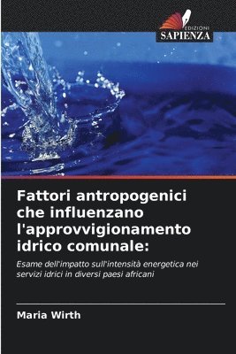 Maria Wirth - Fattori antropogenici che influenzano l'approvvigionamento idrico comunale, Häftad