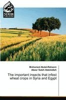 important insects that infest wheat crops in Syria and Egypt
