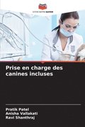 Prise en charge des canines incluses