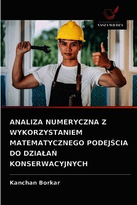 Kanchan Borkar - Analiza Numeryczna Z Wykorzystaniem Matematycznego PodejŚcia Do DzialaŃ Konserwacyjnych, Häftad