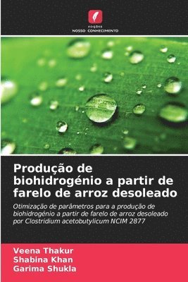 Veena Thakur, Shabina Khan, Garima Shukla - Produção de biohidrogénio a partir de farelo de arroz desoleado, Häftad. Tillgänglighet: Lägg i varukorg