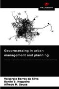 Geoprocessing in urban management and planning