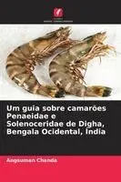 Angsuman Chanda - Um guia sobre camarões Penaeidae e Solenoceridae de Digha, Bengala Ocidental, Índia, Häftad. Tillgänglighet: Lägg i varukorg