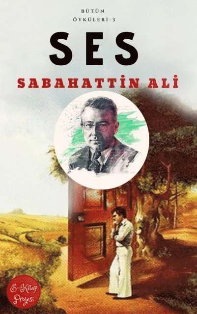 Sabahattin Ali, Tayfun Cavusoglu - Ses, E-bok