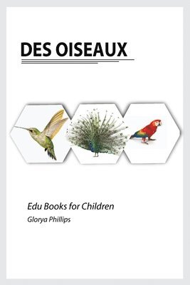 Glorya Phillips - Des Oiseaux, Häftad. Tillgänglighet: Lägg i varukorg