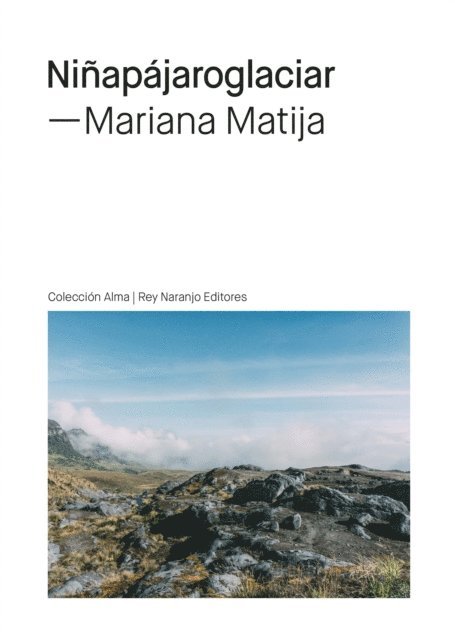 Mariana Matija - Niñapájaroglaciar, E-bok