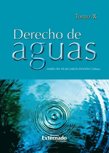 Maria del Pilar Garcia Pachon - Derecho de aguas Tomo X, E-bok