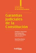 Garantÿas judiciales de la Constitución Tomo II