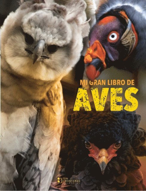 Grupo editorial Sin Fronteras - Mi gran libro de aves, E-bok