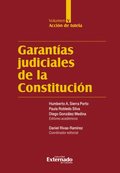 Garantÿas judiciales de la Constitución Tomo V