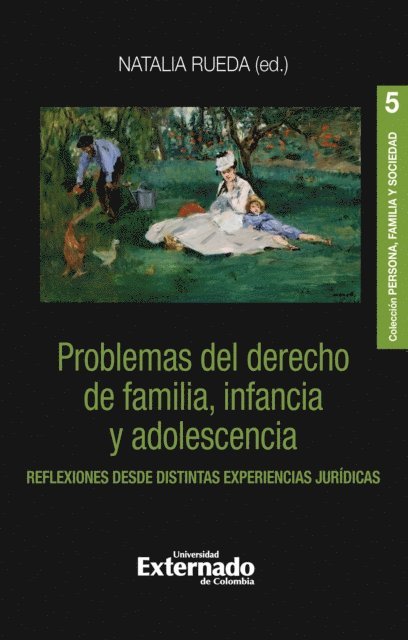 Natalia Rueda - Problemas del derecho de familia, infancia y adolescencia, E-bok