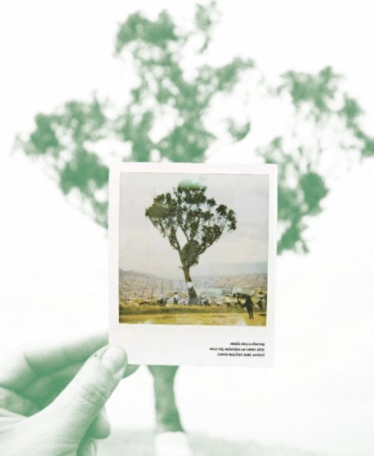 Diana Castillo Herrera, Edna Higuera Pena, Michael Ramirez Castro, Carlos Orlando Arias Moreno, Darling Molina, Alejandra Galeano - El Palo del Ahorcado., E-bok