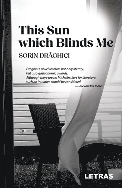Sorin Draghici - This Sun Which Blinds Me, E-bok. Tillgänglighet: Lägg i varukorg