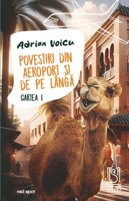 Adrian Voicu - Povestiri din aeroport si de pe langa, E-bok