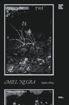 Sophia Mata - Miel Negra, Häftad. Tillgänglighet: Lägg i varukorg