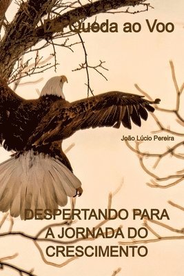 Pereira João - Da Queda Ao Voo, Häftad