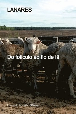 Silveira Fernando - Lanares, Häftad