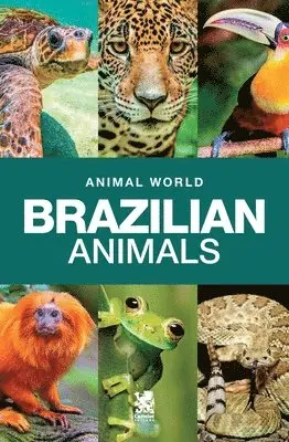 Camelot Editora Editora - Animal World, Häftad. Tillgänglighet: Lägg i varukorg