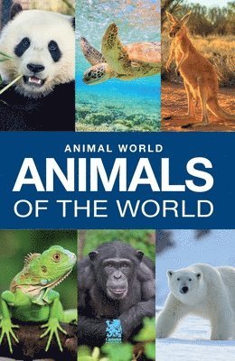 Camelot Editora - Animal World, Häftad