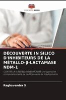 Raghavendra S - Découverte in Silico d'Inhibiteurs de la Métallo-β-Lactamase Ndm-1, Häftad