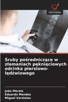 João Morais, Eduardo Mendes, Miguel Varzielas - Śruby pośredniczące w zlamaniach pęknięciowych odcinka piersiowo-lędźwiowego, Häftad
