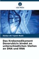 Heidar-Ali Tajmir-Riahi - Krebsmedikament Doxorubicin bindet an unterschiedlichen Stellen an DNA und RNA, Häftad. Tillgänglighet: Lägg i varukorg