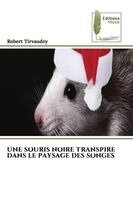 Robert Tirvaudey - Souris Noire Transpire Dans Le Paysage Des Songes, Häftad. Tillgänglighet: Lägg i varukorg