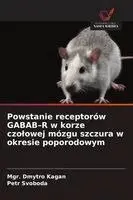 Mgr Dmytro Kagan, Petr Svoboda - Powstanie receptorów GABAB-R w korze czolowej mózgu szczura w okresie poporodowym, Häftad. Tillgänglighet: Lägg i varukorg