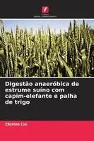 Zhimin Liu - Digestão anaeróbica de estrume suíno com capim-elefante e palha de trigo, Häftad. Tillgänglighet: Lägg i varukorg