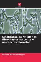 Charles Kisali Pallangyo - Sinalização do NF-κB nos fibroblastos na colite e no cancro colorretal, Häftad. Tillgänglighet: Lägg i varukorg