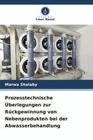 Marwa Shalaby - Prozesstechnische Überlegungen zur Rückgewinnung von Nebenprodukten bei der Abwasserbehandlung, Häftad. Tillgänglighet: Lägg i varukorg