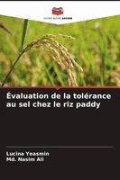 Évaluation de la tolérance au sel chez le riz paddy