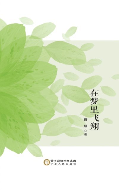 Bai Lin - Fly in Dream, E-bok