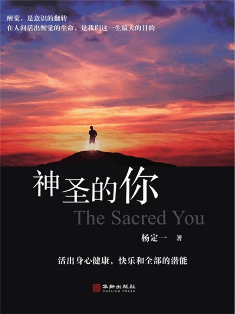 Ding Yi Yang - The Divine You, Häftad